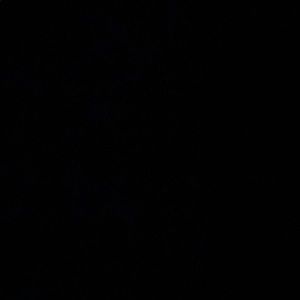 Meet your Posher, Ashton